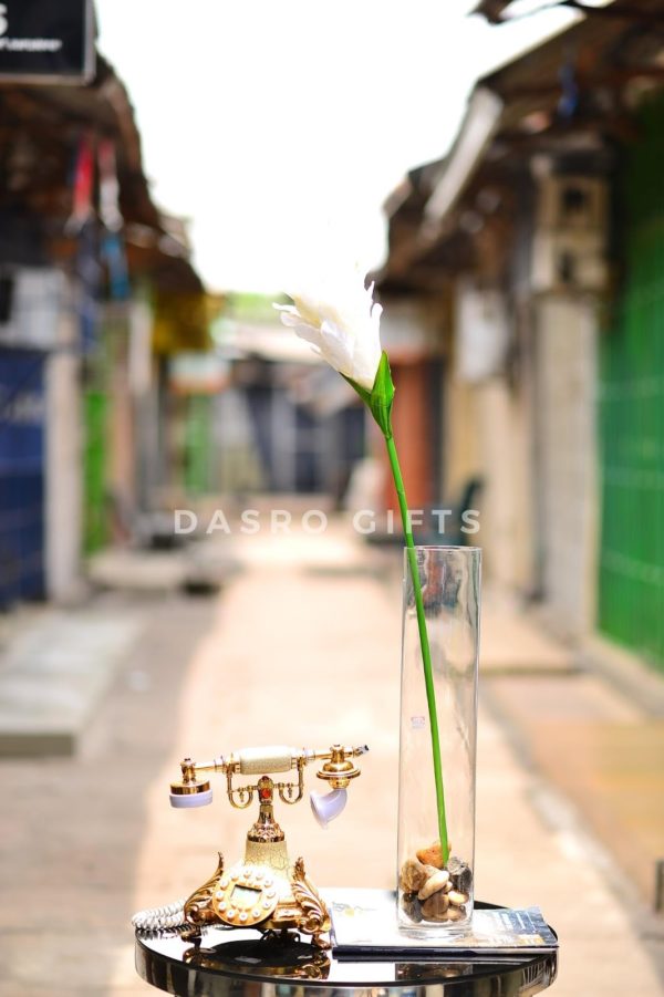 Longflower 2703